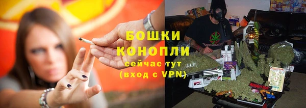 СК Аркадак