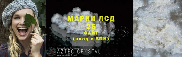ПСИЛОЦИБИНОВЫЕ ГРИБЫ Арсеньев