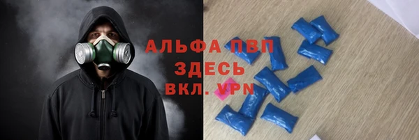 СК Аркадак