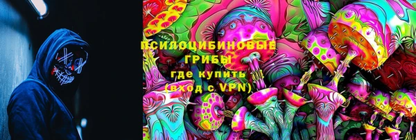 СК Аркадак