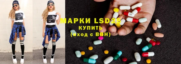 СК Аркадак