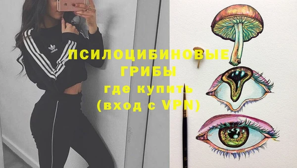 ПСИЛОЦИБИНОВЫЕ ГРИБЫ Арсеньев