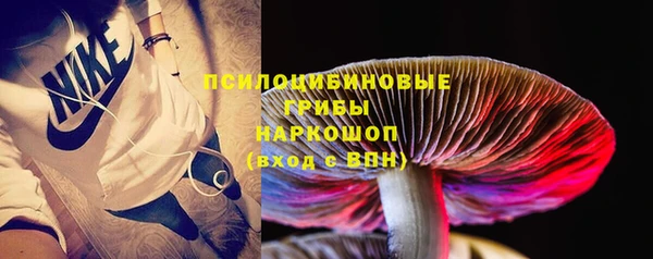 ПСИЛОЦИБИНОВЫЕ ГРИБЫ Арсеньев