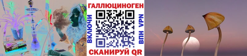 Галлюциногенные грибы мицелий наркота Фатеж